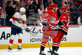 Panthers Hurricanes Hockey