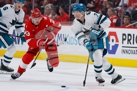 Sharks Red Wings Hockey