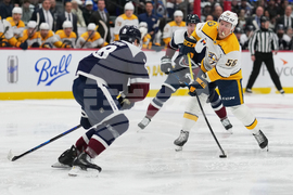 Predators Avalanche Hockey