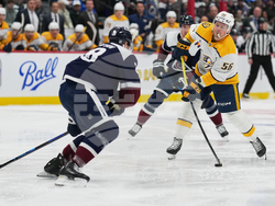 Predators Avalanche Hockey