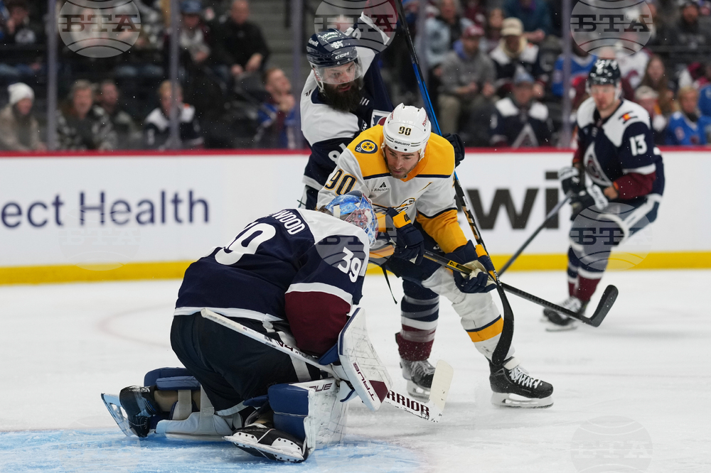 Predators Avalanche Hockey