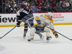 Predators Avalanche Hockey