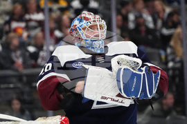 Predators Avalanche Hockey