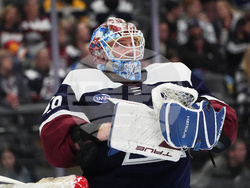 Predators Avalanche Hockey