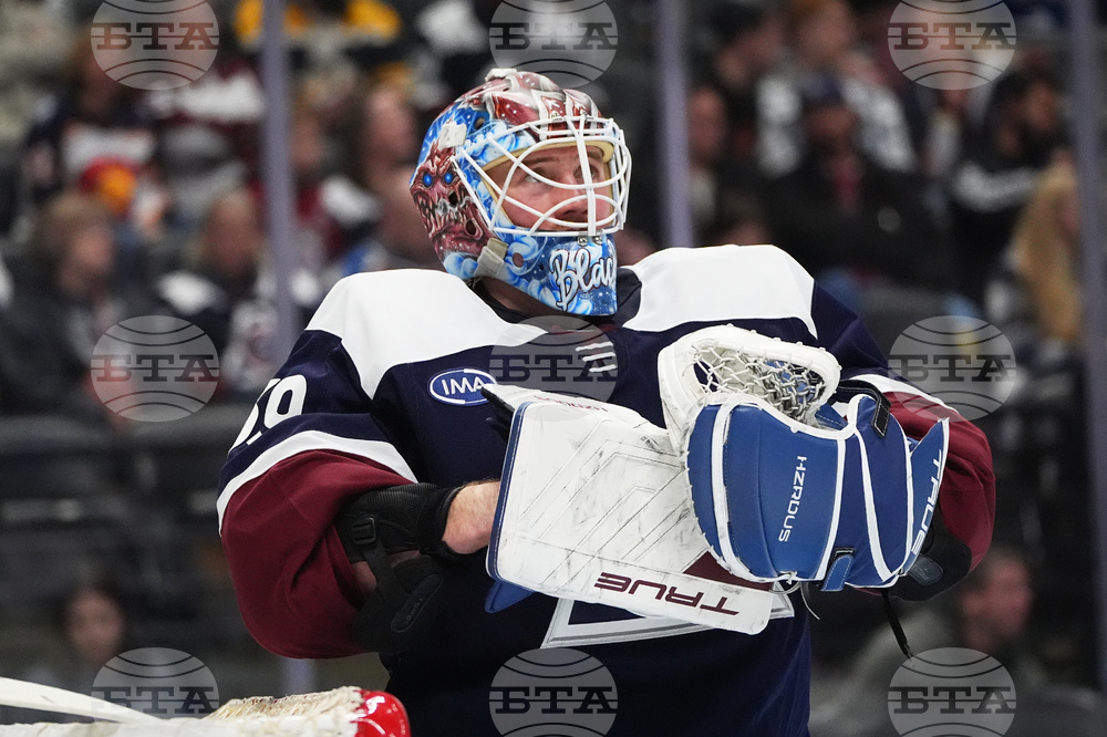 Predators Avalanche Hockey