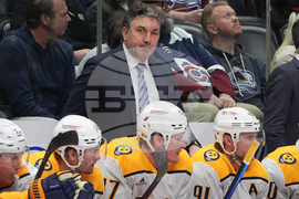 Predators Avalanche Hockey