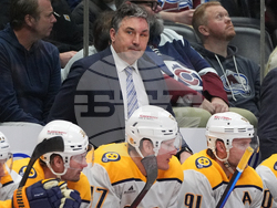 Predators Avalanche Hockey