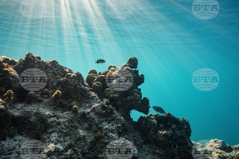 Climate High Seas Treaty What to Know