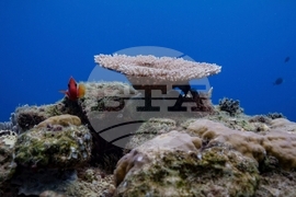 Climate High Seas Treaty What to Know