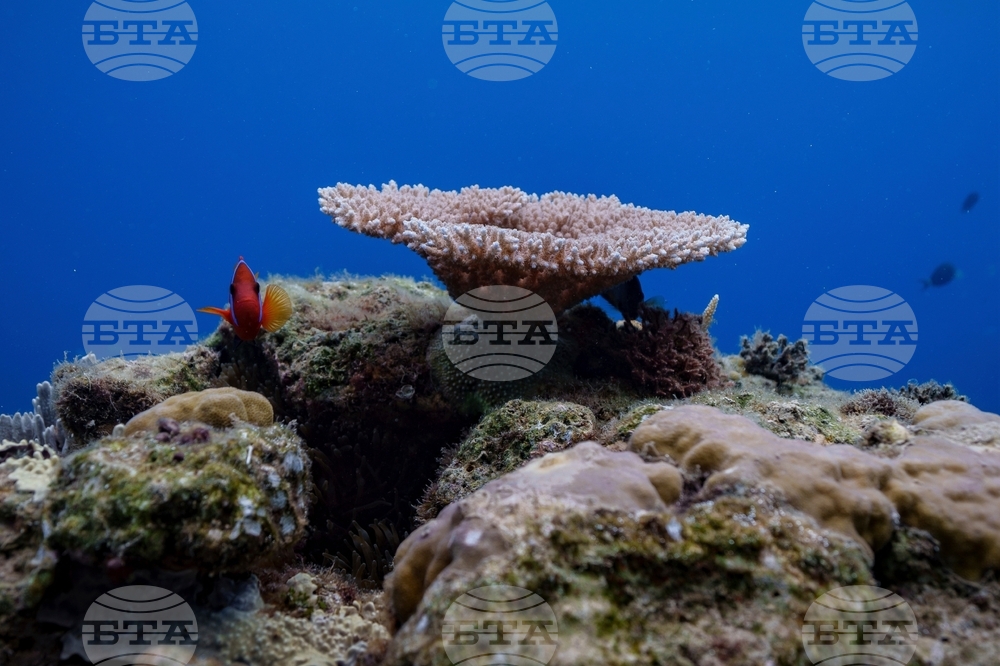 Climate High Seas Treaty What to Know