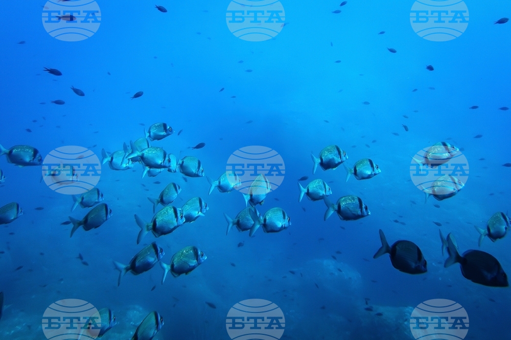 Climate High Seas Treaty What to Know