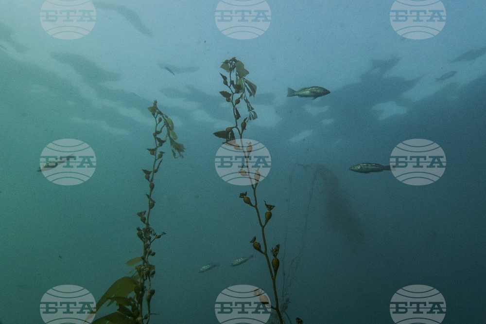 Climate High Seas Treaty What to Know