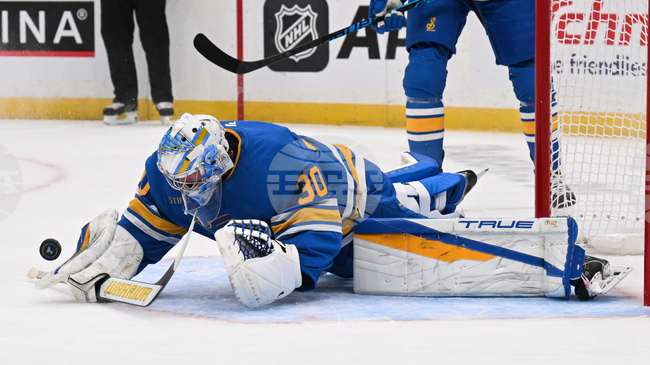 Джоел Хофер направи 34 спасявания, а Сейнт Луис се наложи над Тампа Бей