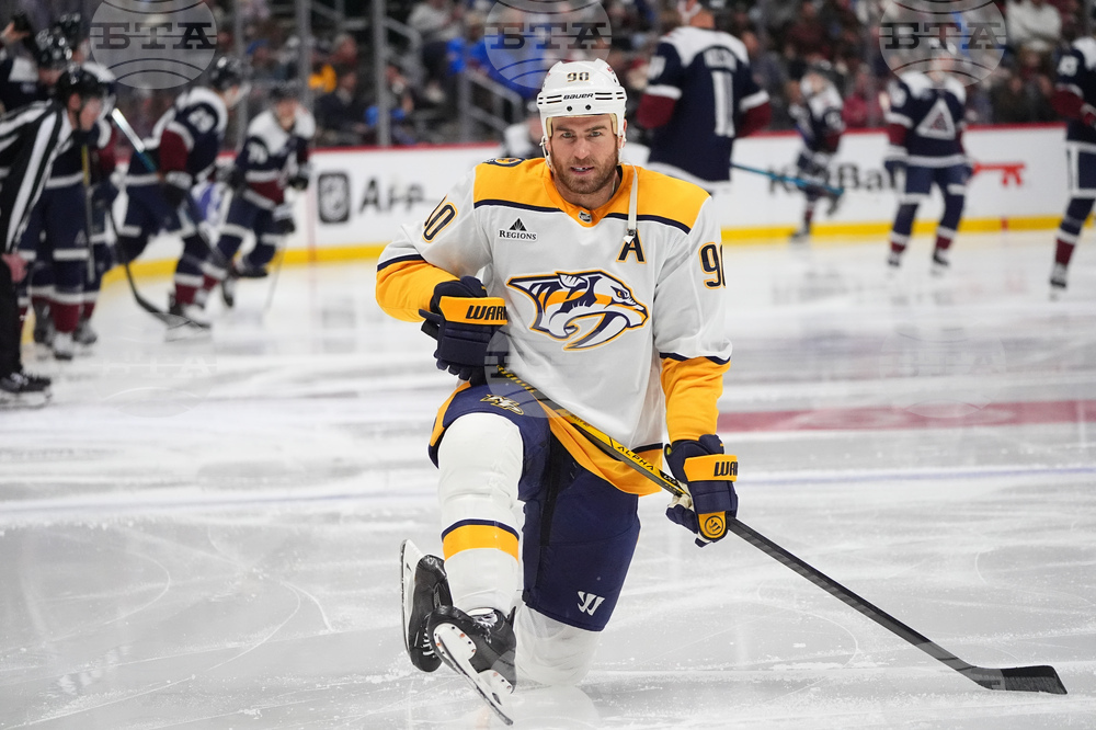 Predators Avalanche Hockey