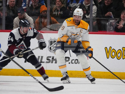 Predators Avalanche Hockey