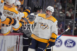 Predators Avalanche Hockey