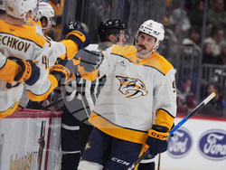 Predators Avalanche Hockey