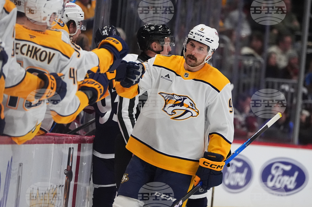 Predators Avalanche Hockey