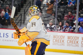 Predators Avalanche Hockey