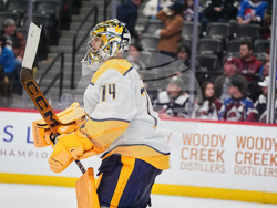 Predators Avalanche Hockey