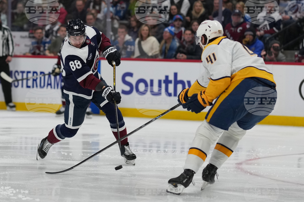 Predators Avalanche Hockey