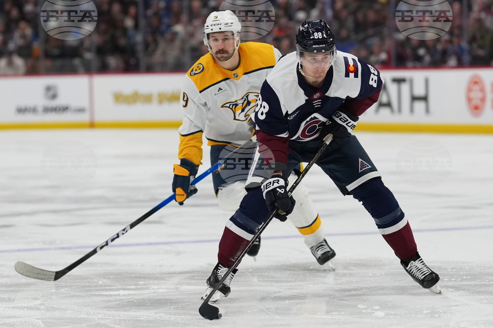 Predators Avalanche Hockey