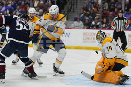 Predators Avalanche Hockey