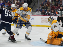 Predators Avalanche Hockey