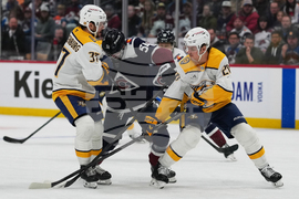 Predators Avalanche Hockey