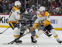 Predators Avalanche Hockey