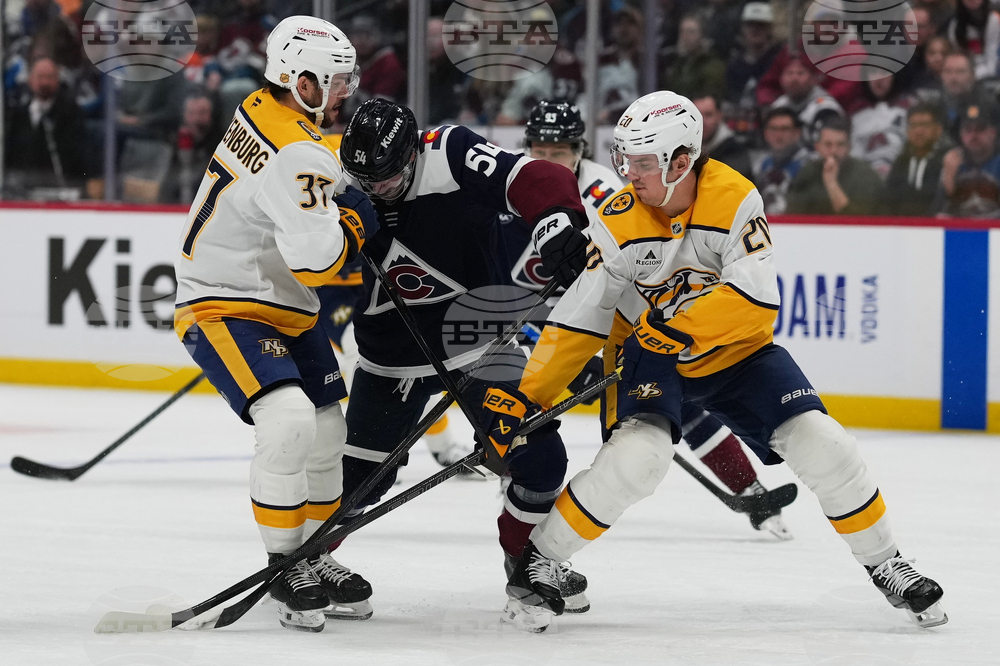 Predators Avalanche Hockey