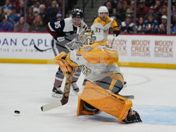 Predators Avalanche Hockey