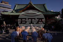 Japan New Year Festival