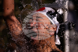 Japan New Year Festival