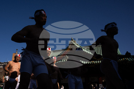 Japan New Year Festival