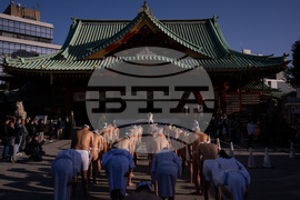 Japan New Year Festival