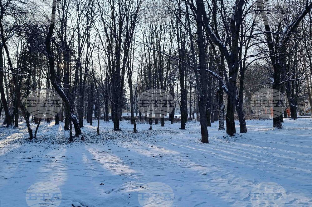 Плевен - зимна обстановка