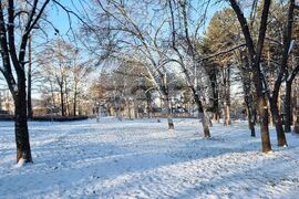 Плевен - зимна обстановка