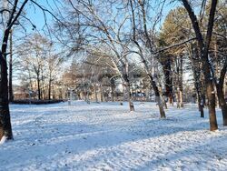 Плевен - зимна обстановка