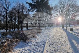 Плевен - зимна обстановка