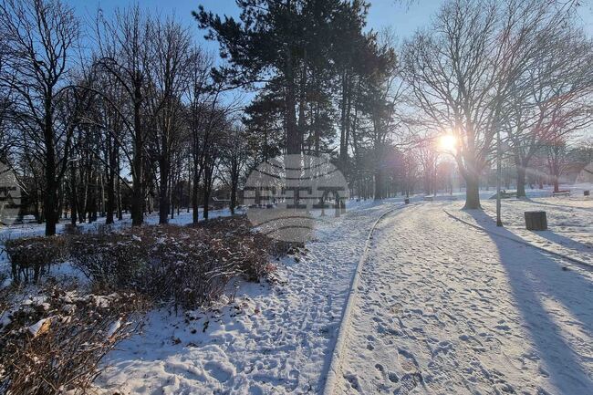 Плевен - зимна обстановка