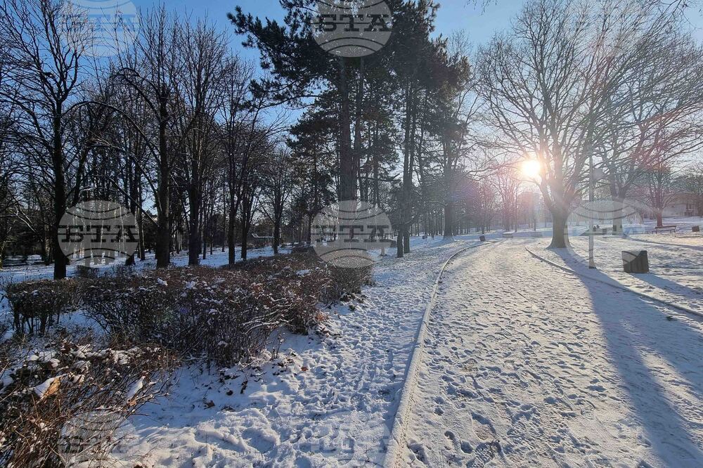 Плевен - зимна обстановка