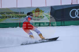 Банско - Световна купа по алпийски сноуборд - квалификации