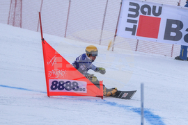 Банско - Световна купа по алпийски сноуборд - квалификации