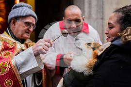 Spain Animal Blessing