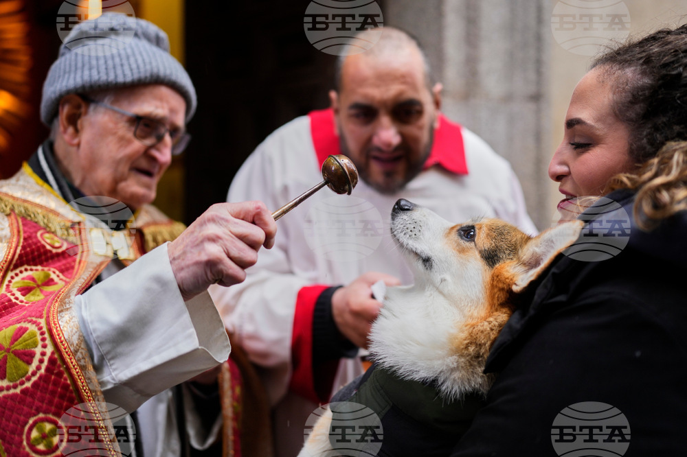 Spain Animal Blessing