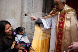 Spain Animal Blessing