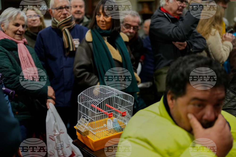 Spain Animal Blessing