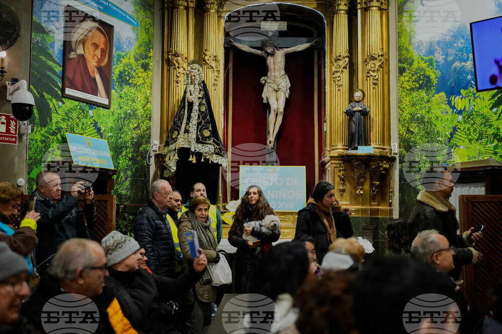 Spain Animal Blessing