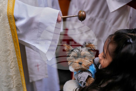 Spain Animal Blessing